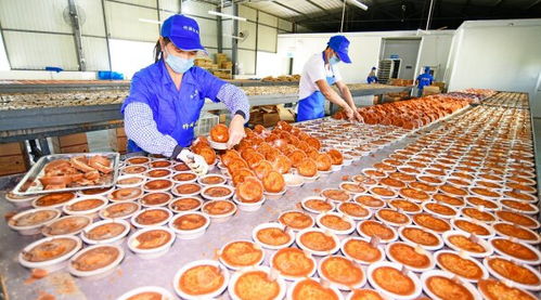 云南彌勒 特色手工紅糖生產忙，傳承美味與匠心